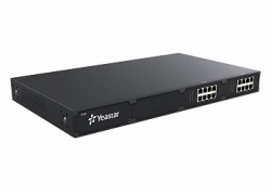 YEASTAR S100