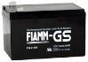 FIAMM FG 21202